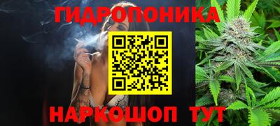 гашик Кулебаки