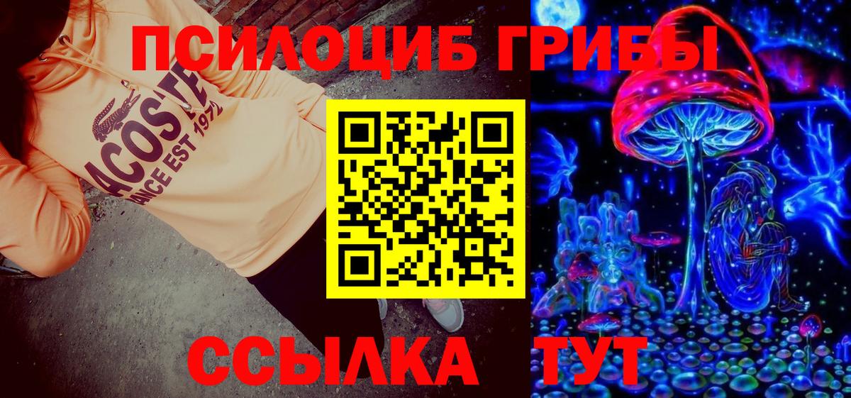 Псилоцибиновые грибы Psilocybe Гусь-Хрустальный